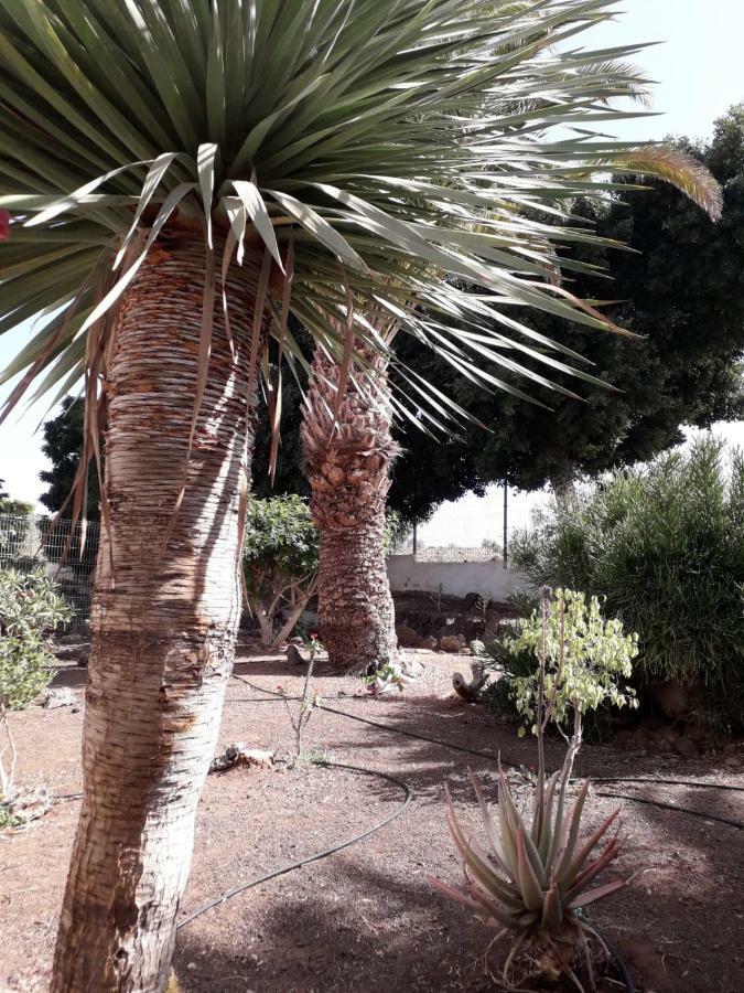 Elegant And Cozy Studio With Pool Chaparral 341 Costa Del Silencio Eksteriør bilde